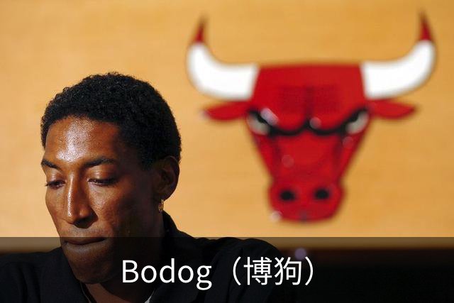 Bodog（博狗）企业介绍图